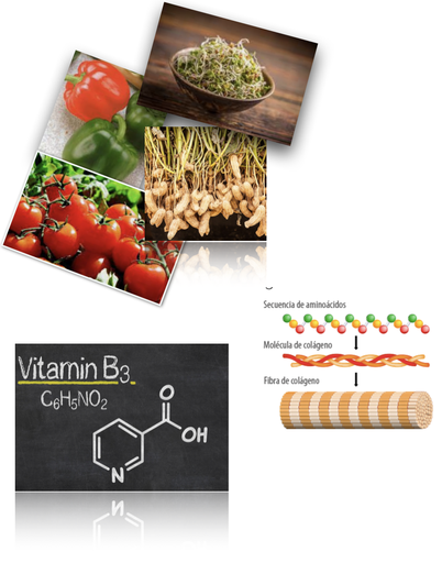 BIO activo complejo concentrado VITAMINA C, NIACINAMIDA, COLÁGENO  Y ÁCIDO HIALURÓNICO