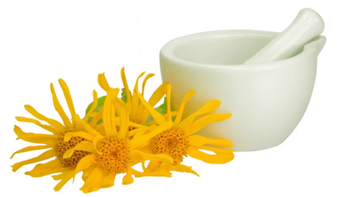 [Phytoveg-Ar/GLN] Extracto glicerinado de Arnica 